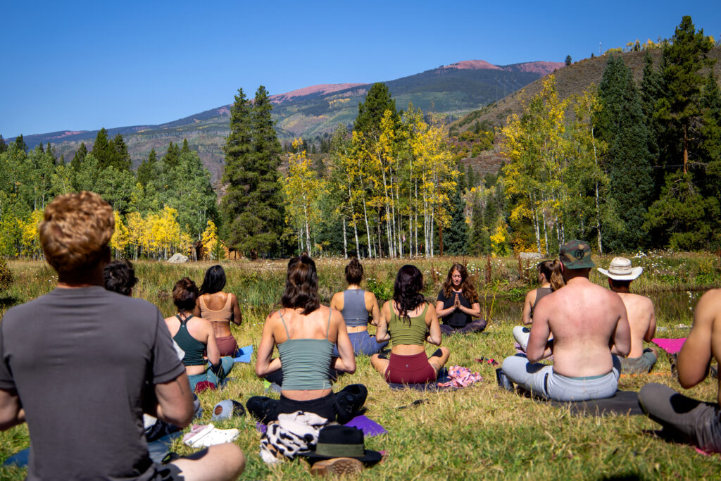 The programs featured image