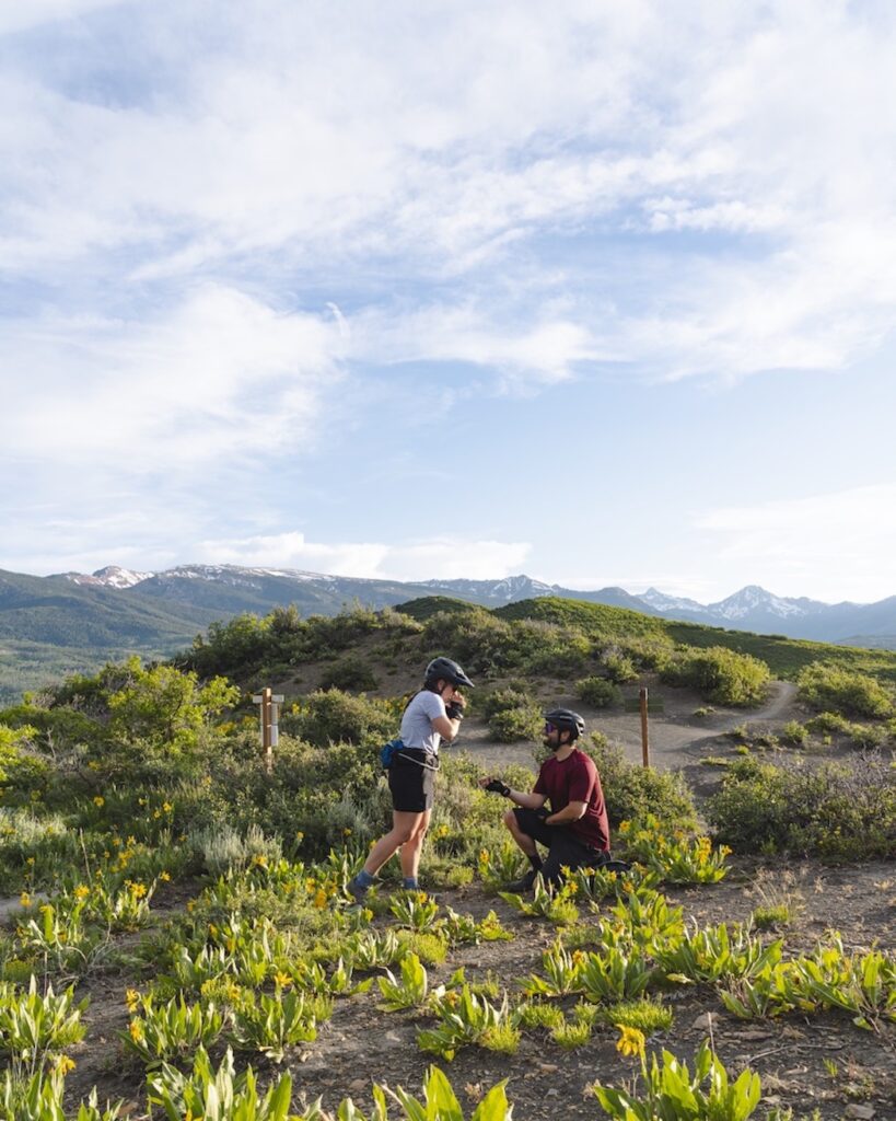 The programs featured image