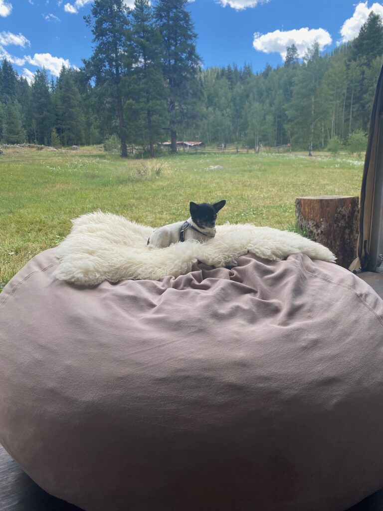 The programs featured image