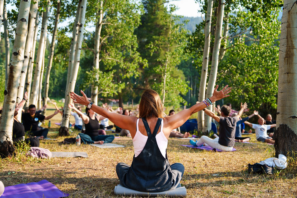 The programs featured image